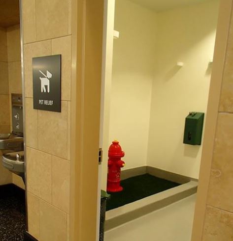 A pet relief room at the San Diego Airport