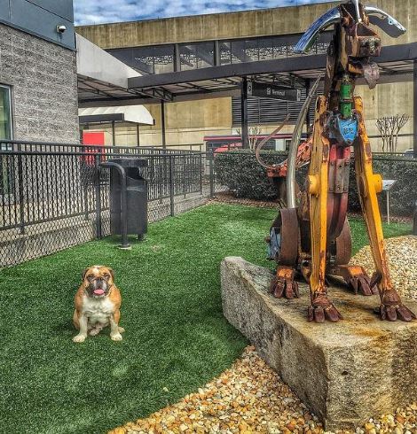 Your dog can now walk in the park at this airport in Atlanta.