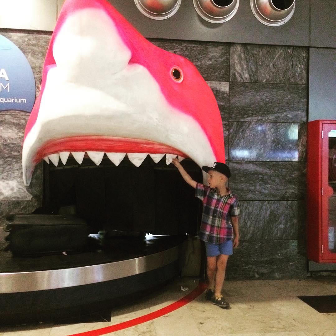 Pick up your luggage right from a shark’s jaws at the Antalya Airport.