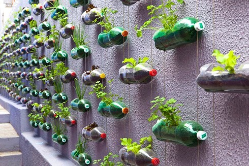 A “green wall” made of recycled plastic bottles