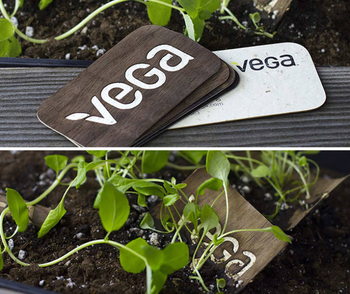 Vega Seeded Business Cards