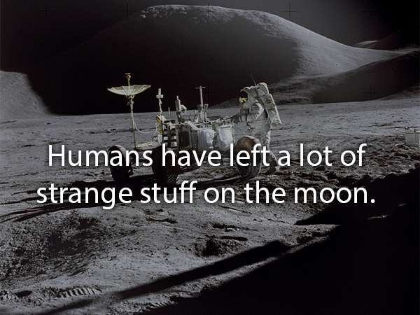 original moon landing - Humans have left a lot of strange stuff on the moon.