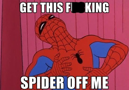 es vedra island - Get This Fl King Spider Off Me