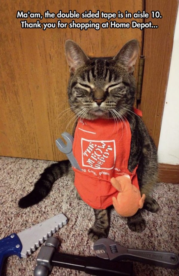 meow depot - Ma'am, the double sided tape is in aisle 10. Thank you for shopping at Home Depot... Tre Wow Wedo