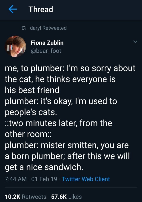 screenshot - Thread 23 daryl Retweeted Fiona Zublin me, to plumber I'm so sorry about the cat, he thinks everyone is his best friend plumber it's okay, I'm used to people's cats. two minutes later, from the other room plumber mister smitten, you are a bor