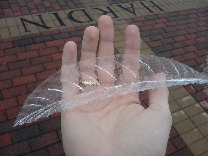 ice on leaf