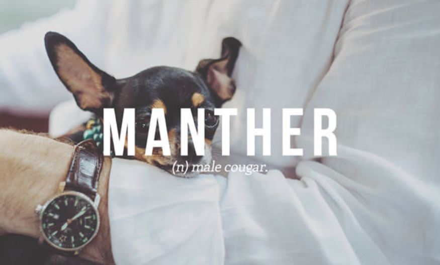 vocabulary Dog - Manther n male cougar.
