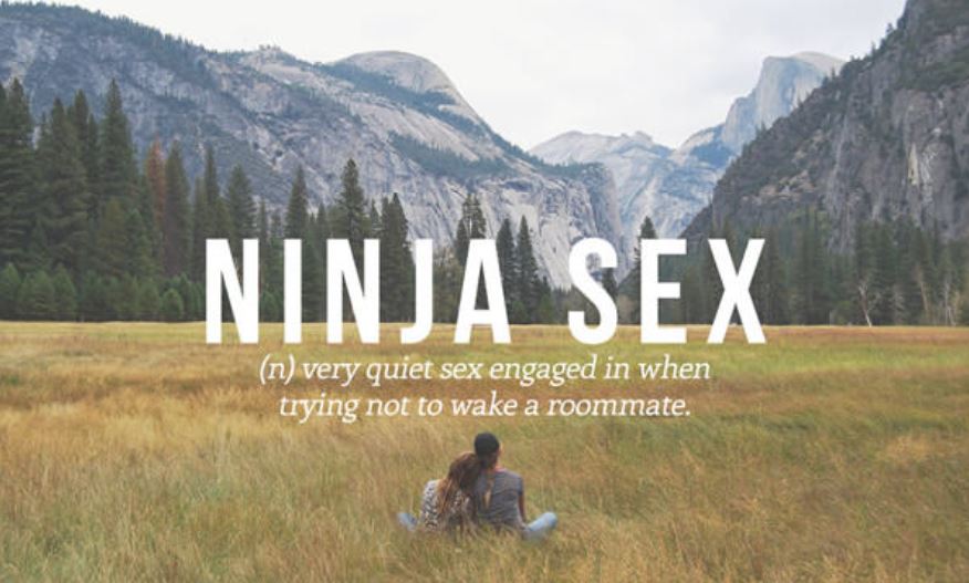 vocabulary nature - Ninja Sex n very quiet sex engaged in when trying not to wake a roommate.