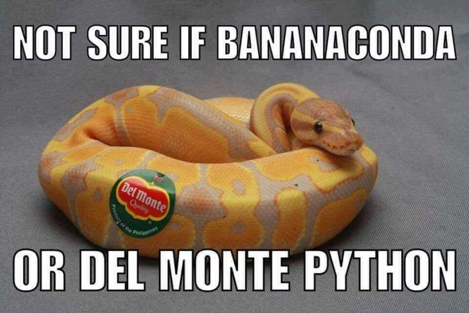 memes - pentagon memorial - Not Sure If Bananaconda Del Monte Quality Producto the prope ppines Or Del Monte Python