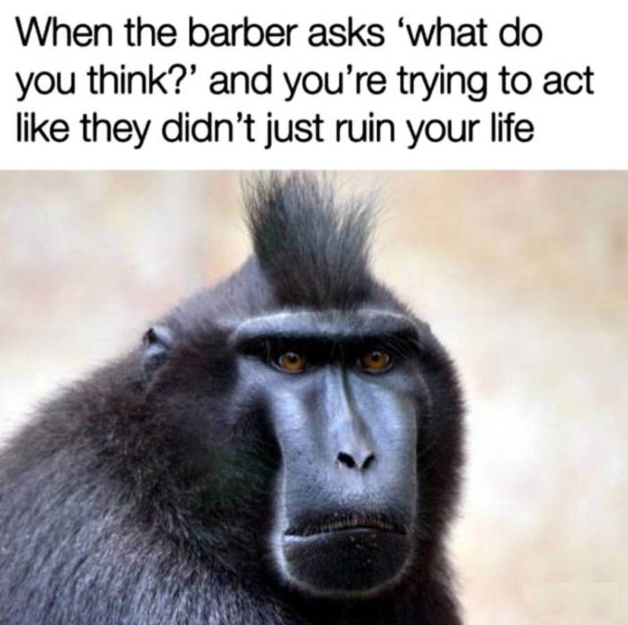memes - barber ruined your life - When the barber asks 'what do you think?' and you're trying to act they didn't just ruin your life