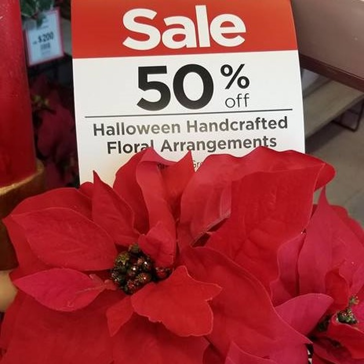 Christmas flowers in October? Nice try...