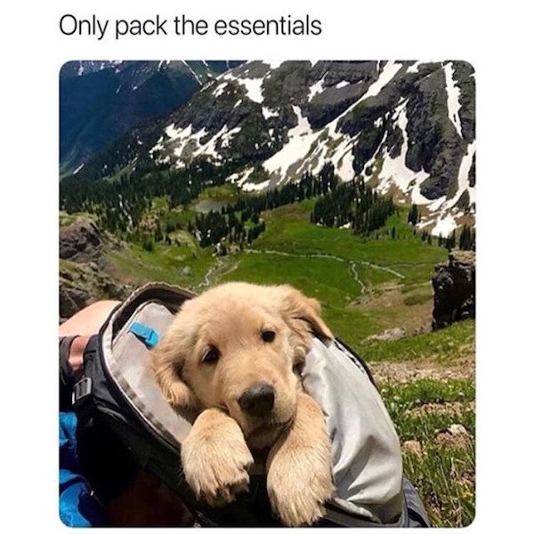 only pack the essentials meme - Only pack the essentials