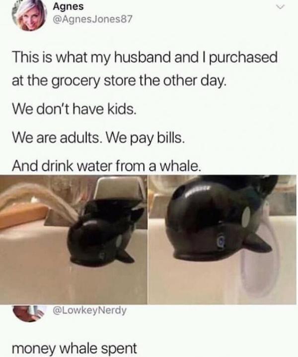 money whale spent - Agnes This is what my husband and I purchased at the grocery store the other day. We don't have kids. We are adults. We pay bills. And drink water from a whale. I money whale spent