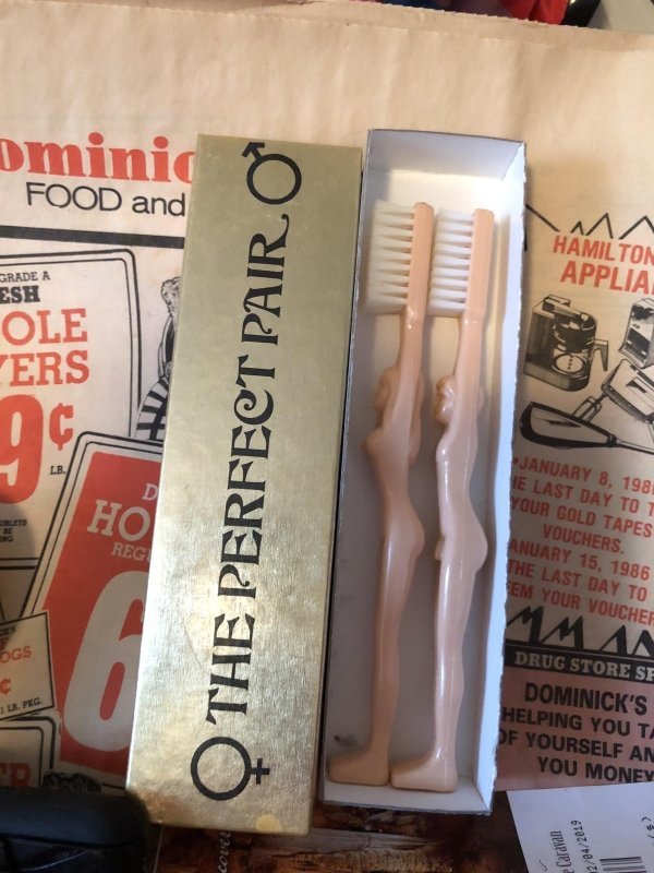 thrift store brush - ominic Food and Hamilton Applia Grade A Esh Ole Ers O The Perfect Pair. January 8, 198 Ie Last Day To 1 Your Gold Tapes Vouchers. Anuary 15, 1986 The Last Day To Em Your Voucher Mman Ogs 1 . Peg Drug Store Se Dominick'S Helping You T 