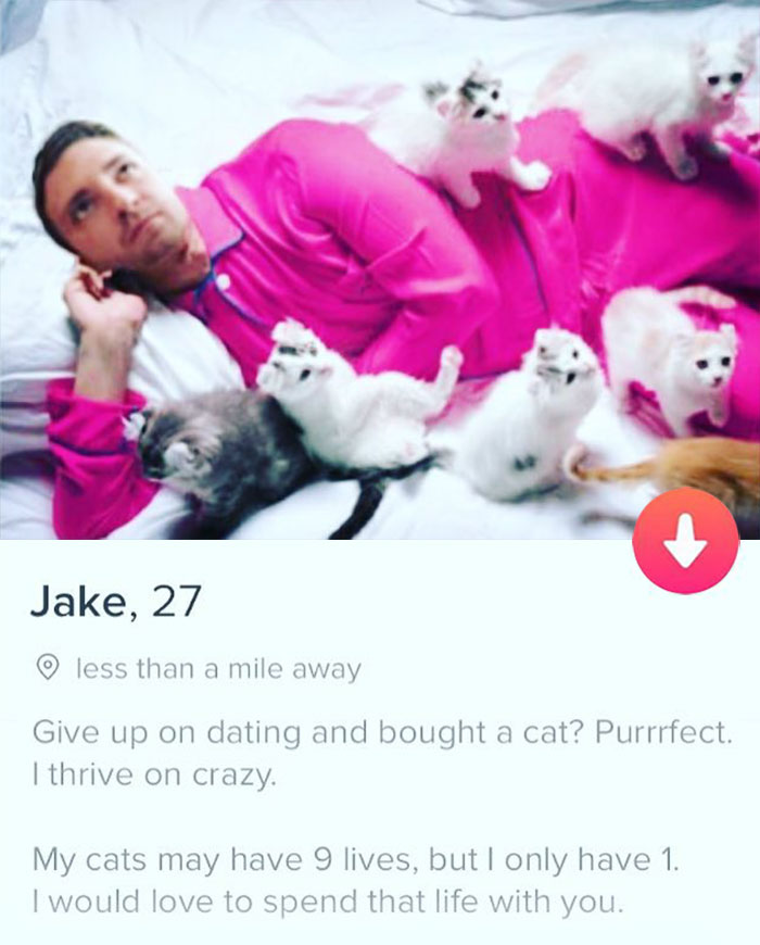 tinder - do you see yourself in 5 years cats - Jake, 27 less than a mile away Give up on dating and bought a cat? Purrrfect. I thrive on crazy My cats may have 9 lives, but I only have 1. I would love to spend that life with you.