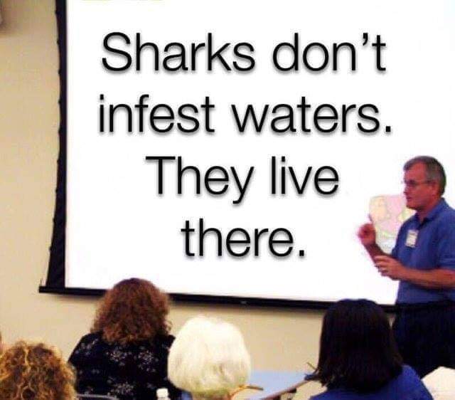 sharks don t infest waters they live there - Sharks don't infest waters. They live there.