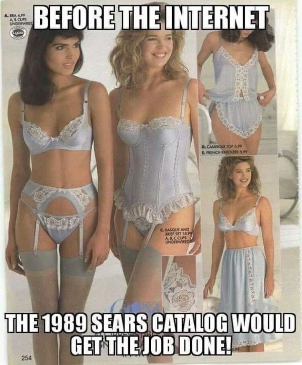 sears catalogue bras - Lera 4,99 A B Cups Underwe Before The Internet o D. Camisole Top 5.99 Prinot Knockers Clasque And De Set 1899 Underwired Accups The 1989 Sears Catalog Would Get The Job Done! 254