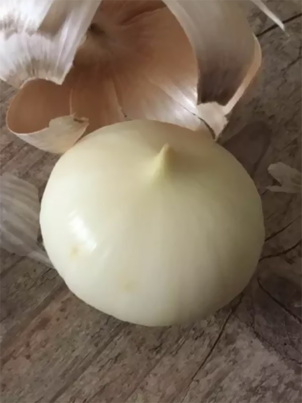 garlic that doesn t come in cloves