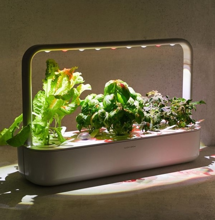 Carry your own portable smart garden everywhere — even if you have no prior gardening experience.