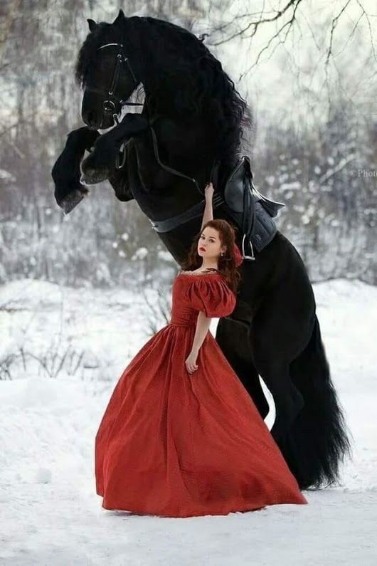 memes - woman in a red dress in the snow touching a black horse