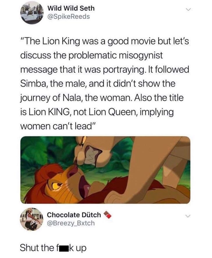 memes - lion king lion queen meme - Wild Wild Seth Spike Reeds "The Lion King was a good movie but let's discuss the problematic misogynist message that it was portraying. It ed Simba, the male, and it didn't show the journey of Nala, the woman. Also the 