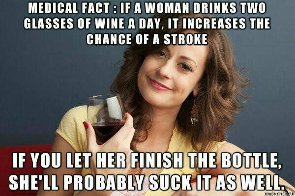 memes - early childhood education memes - Medical Fact If A Woman Drinks Two Glasses Of Wine A Day, It Increases The Chance Of A Stroke If You Let Her Finish The Bottle, She'Ll Probably Suck It As Well. made on Imgur