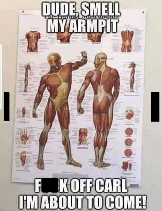 memes - Dude Smell Myarmpit No K Off Carl I'M About To Come!
