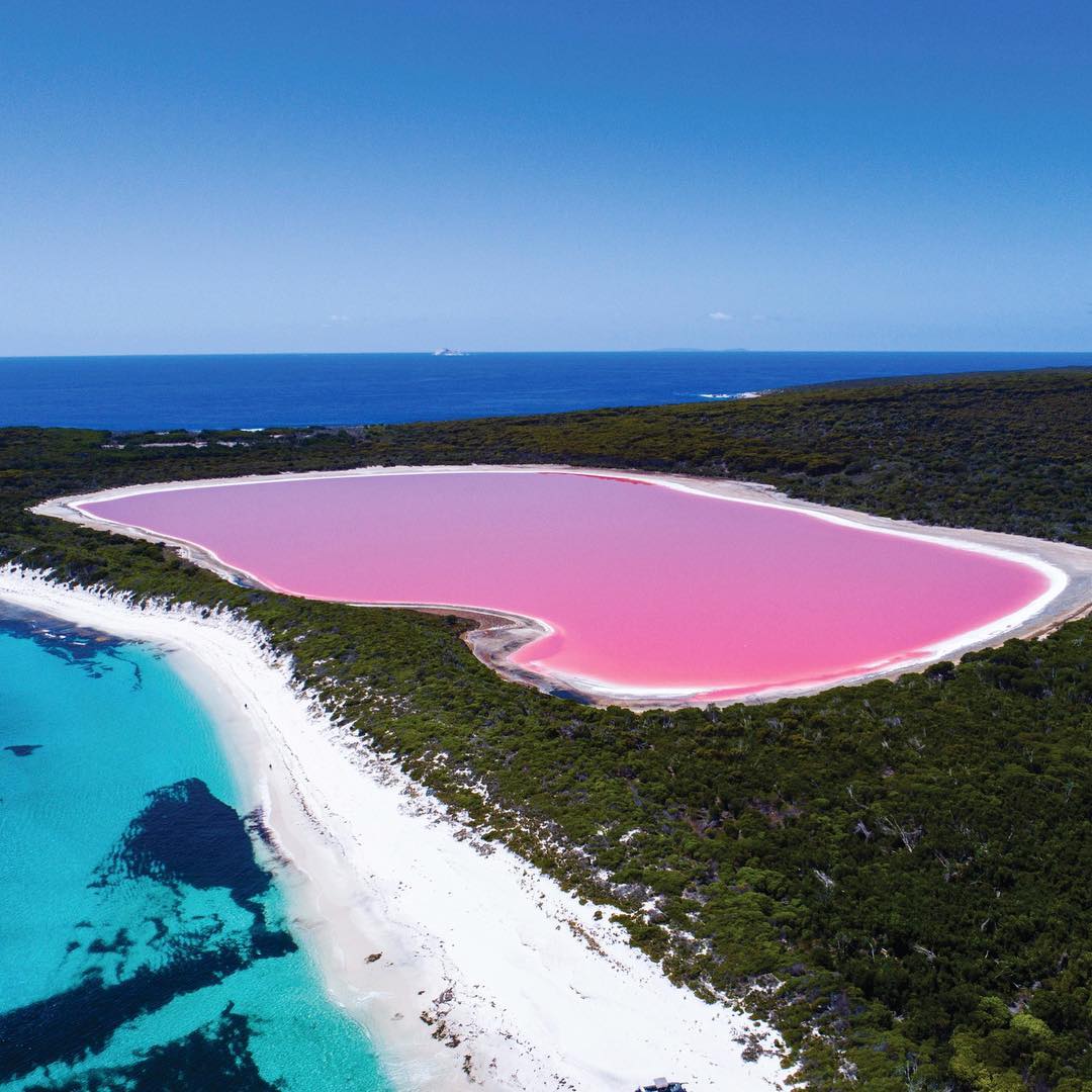 pink australia lake