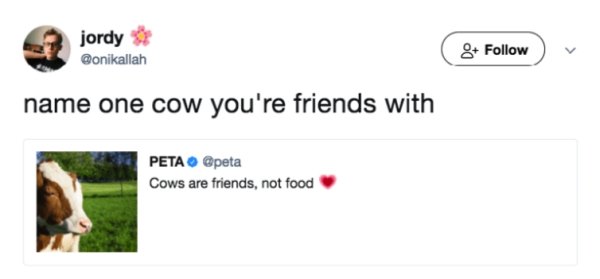 memes - funny tweets from women - jordy 8 name one cow you're friends with Peta Cows are friends, not food