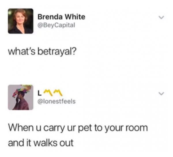 memes - diagram - Brenda White Capital what's betrayal? L When u carry ur pet to your room and it walks out