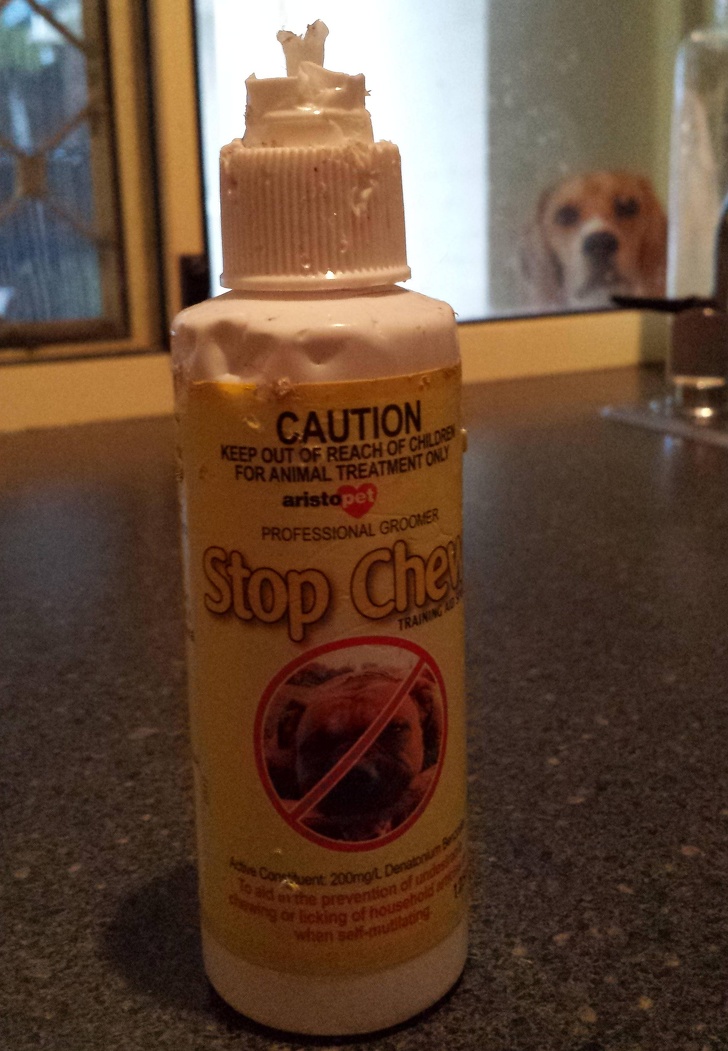 mildly infuriating pic of a chewed anti chew spray bottle