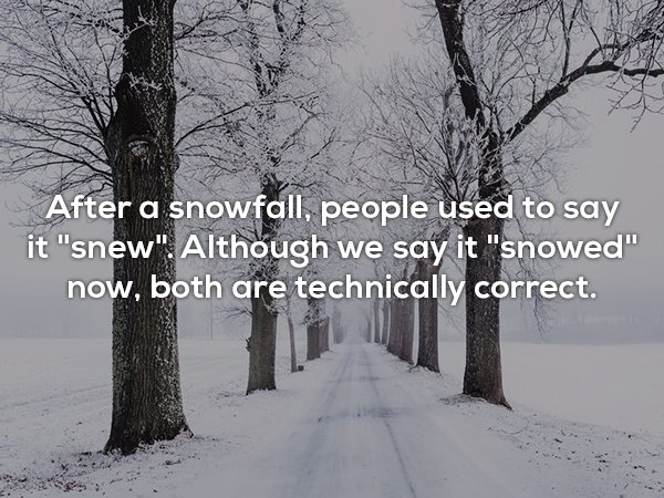 chicago winter tips - After a snowfall, people used to say it "snew" Although we say it "snowed" now, both are technically correct.