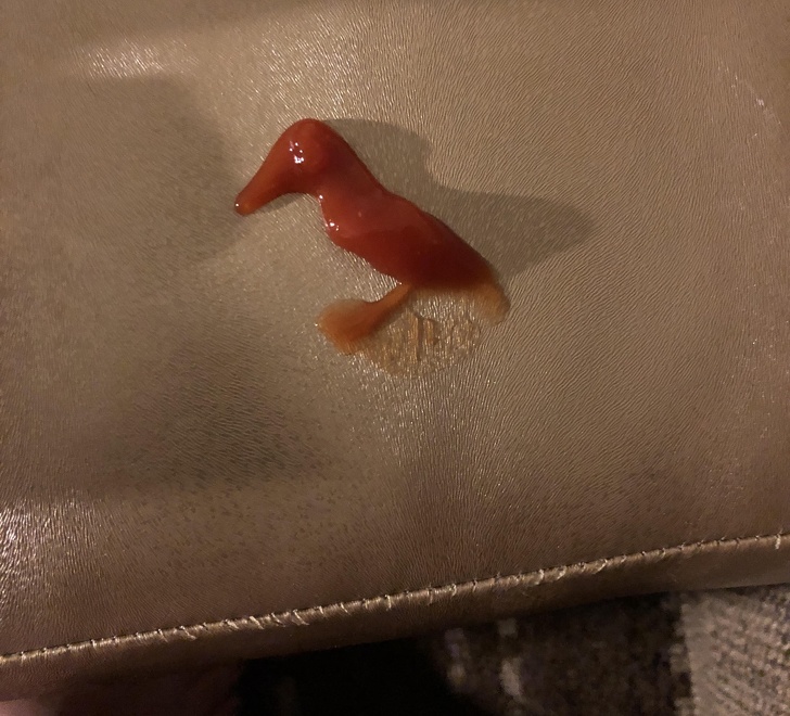 Accidentally spilled ketchup in the shape of a bird!
