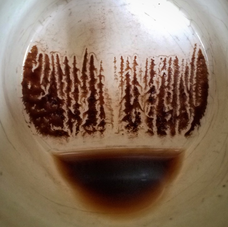 A picture of a forest awaits you at the bottom of your cup of coffee.