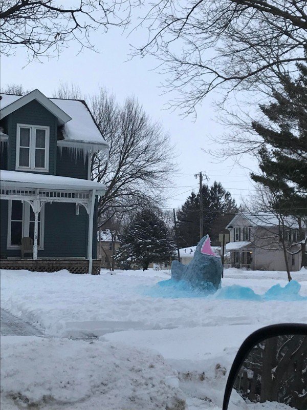 Snow shark!