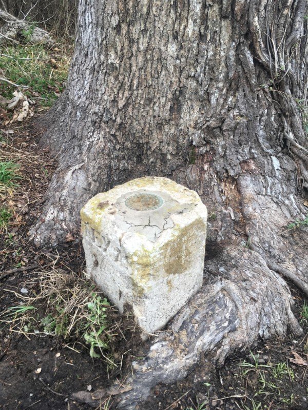 This little marker is the exact point where Texas, Louisiana, and Arkansas meet.