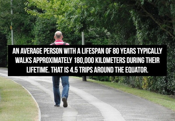 17 mind-blowing statistics about the world