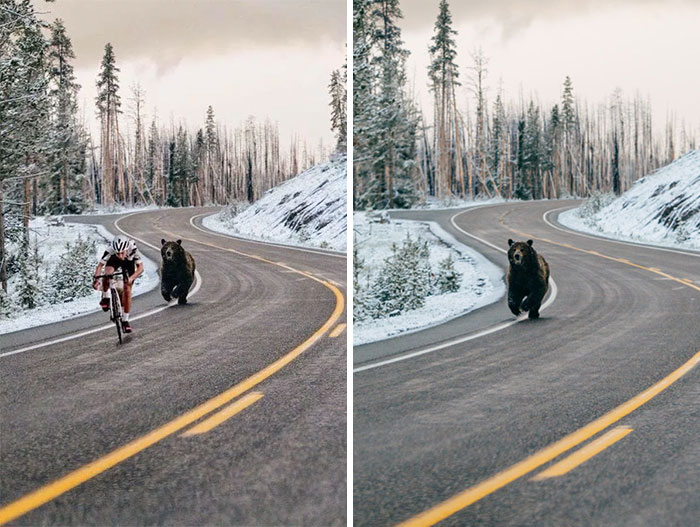 fake bear chasing cyclist -