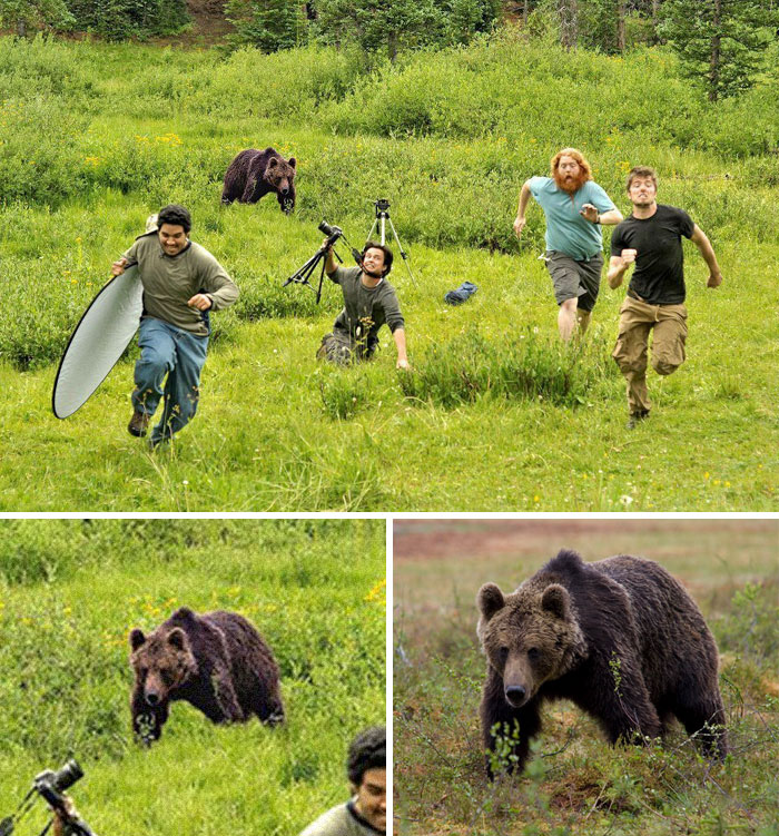 fake animal planet behind the scenes