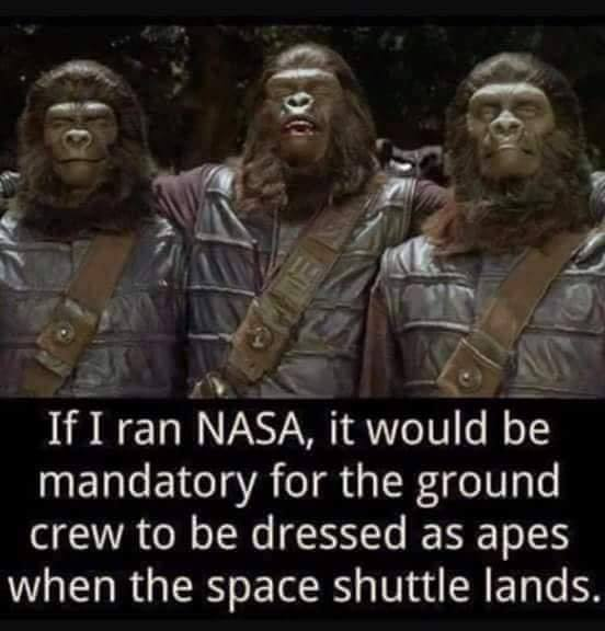 memes - planet of the apes 1968 rocket - If I ran Nasa, it would be mandatory for the ground crew to be dressed as apes when the space shuttle lands.