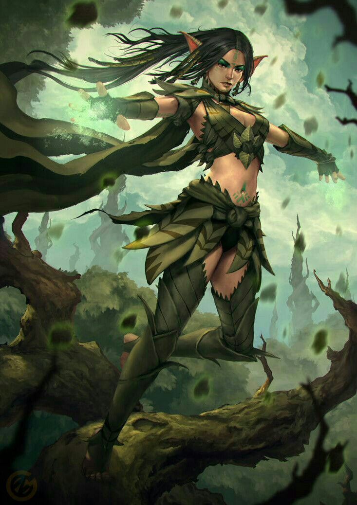 memes - female elf druid