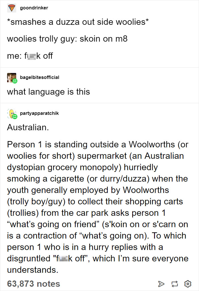 aussie language meme - goondrinker smashes a duzza out side woolies woolies trolly guy skoin on me me flerk off bagelbitesofficial what language is this partyapparatchik Australian. Person 1 is standing outside a Woolworths or woolies for short supermarke