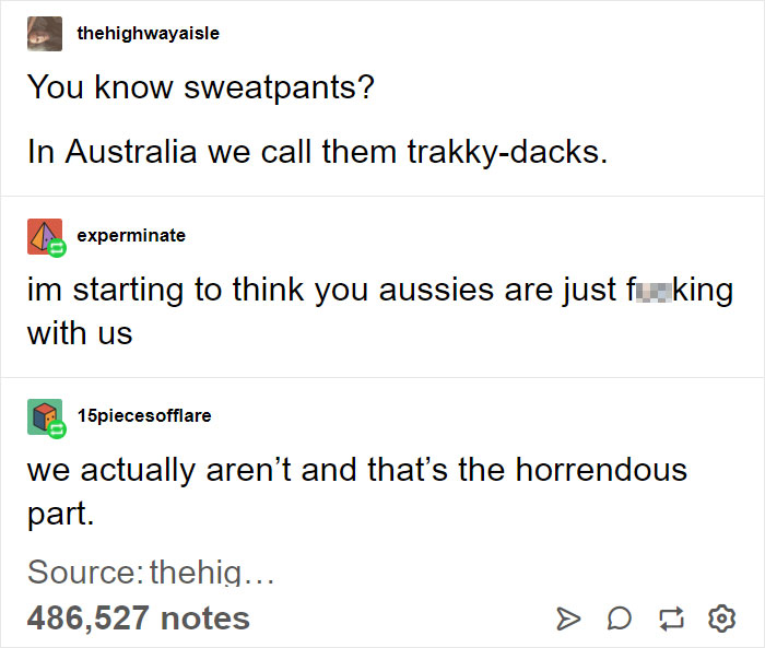 angle - thehighwayaisle You know sweatpants? In Australia we call them trakkydacks. experminate im starting to think you aussies are just fucking with us 15piecesofflare we actually aren't and that's the horrendous part. Source thehig... 486,527 notes
