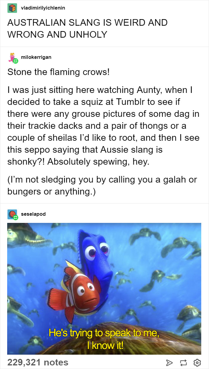 australian language memes - vladimirilyichlenin | Australian Slang Is Weird And Wrong And Unholy milokerrigan Stone the flaming crows! I was just sitting here watching Aunty, when I decided to take a squiz at Tumblr to see if there were any grouse picture