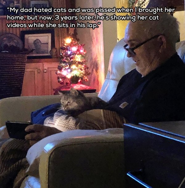 photo caption - "My dad hated cats and was pissed when I brought her home, but now, 3 years later, he's showing her cat videos while she sits in his lap."