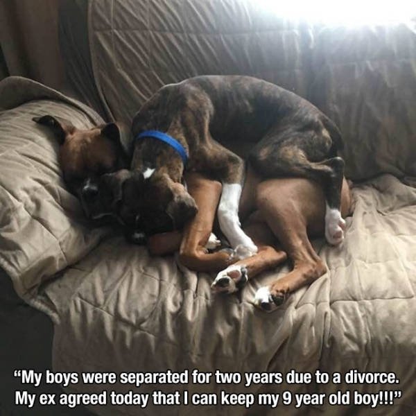 Divorce - "My boys were separated for two years due to a divorce. My ex agreed today that I can keep my 9 year old boy!!!