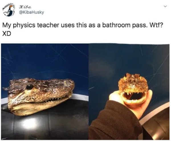 38 really WTF items used as hall passes