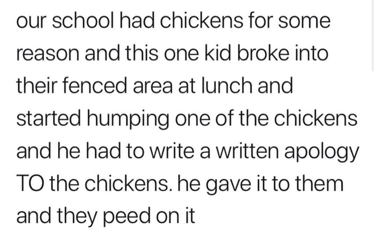 importance of teacher in our life - our school had chickens for some reason and this one kid broke into their fenced area at lunch and started humping one of the chickens and he had to write a written apology To the chickens. he gave it to them and they p