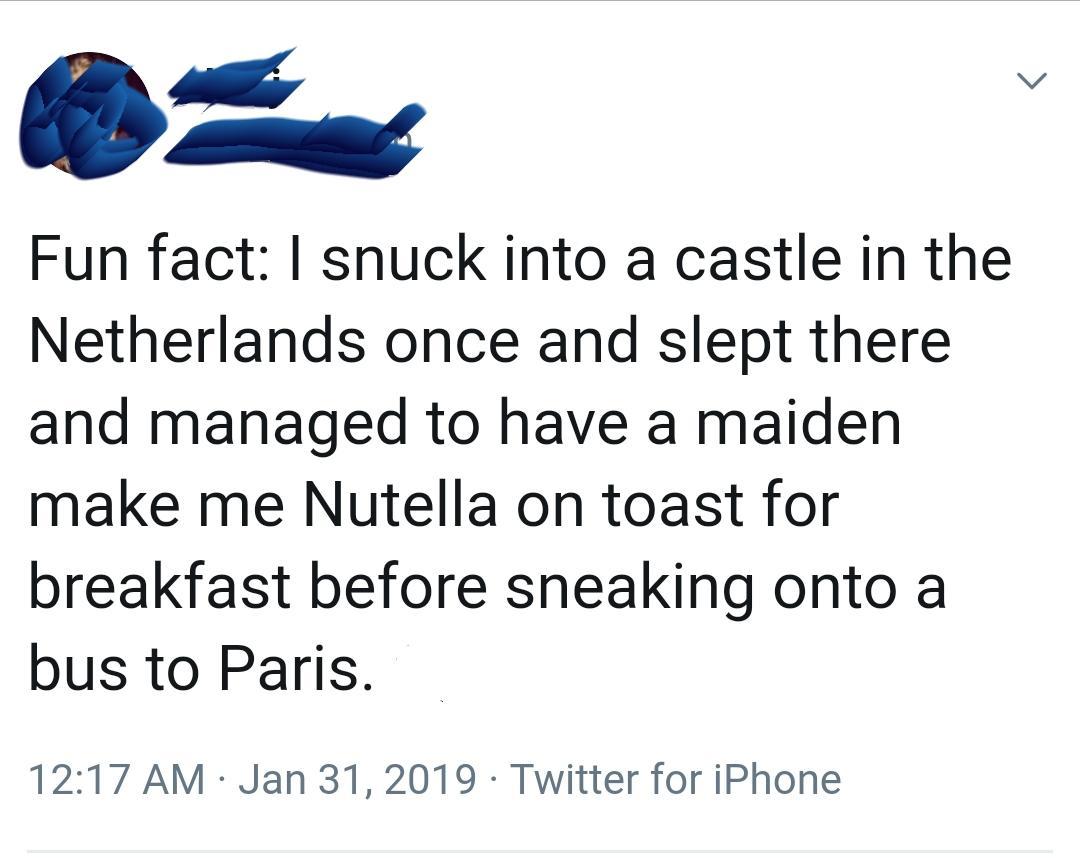 trust quotes - Fun fact I snuck into a castle in the Netherlands once and slept there and managed to have a maiden make me Nutella on toast for breakfast before sneaking onto a bus to Paris. Twitter for iPhone