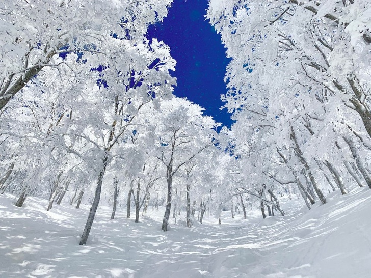 “Skiing in Japan can feel otherworldly.”